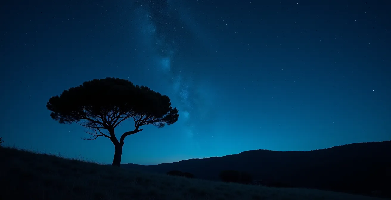 Vue nocturne des étoiles au-dessus d'un cyprès solitaire dans la campagne de Saint-Rémy